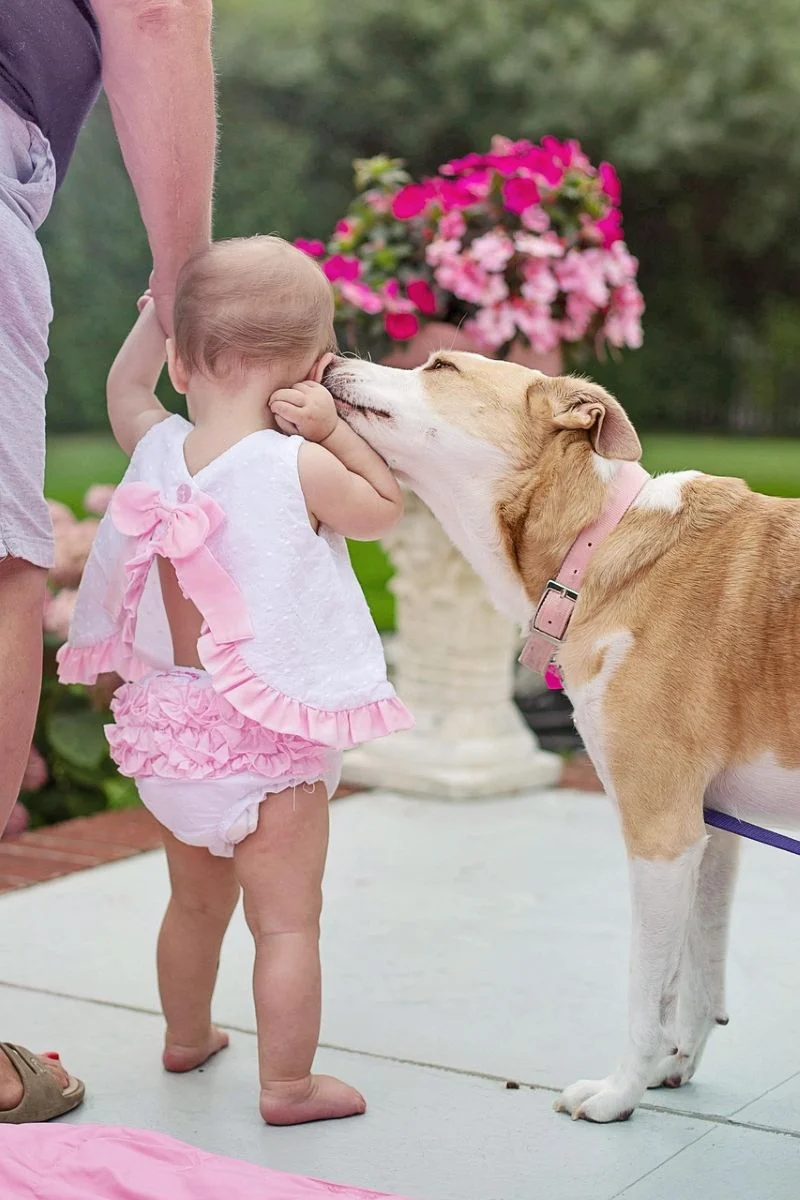 Peaceful sleeping newborn